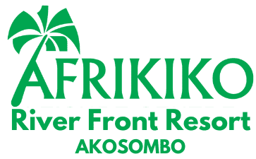 Afrikiko Client Logo