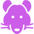 Rodent Control Icon